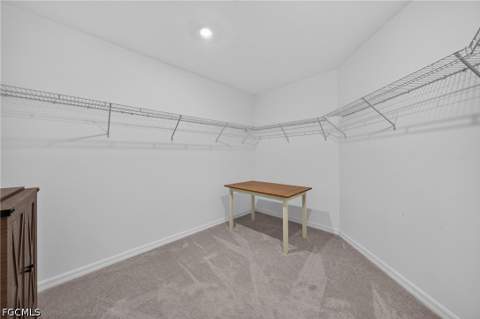 3751 Pebblebrook Ridge Ct 101, Fort Myers FL - photo 24 of 50