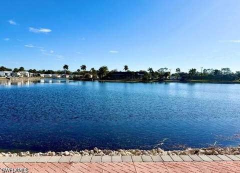 531 Cheetah Dr 531, Naples FL - photo 6 of 50