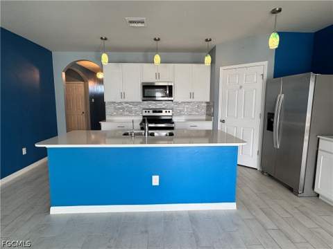 2430 NW 9th Ter, Cape Coral FL - photo 8 of 31