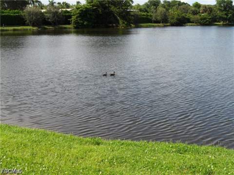 9860 Owlclover St, Fort Myers FL - photo 18 of 26