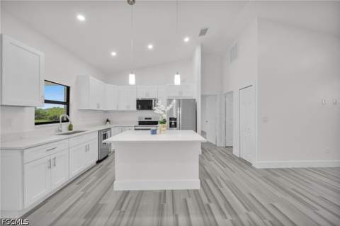 2836 NW 5th Ter, Cape Coral FL - photo 6 of 37