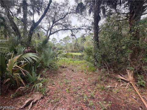 3406 Everhigh Acres Rd, Clewiston FL - photo 13 of 14