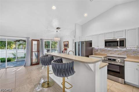 249 NW 29th Pl, Cape Coral FL - photo 7 of 39