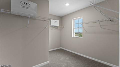 16844 Elkhorn Coral Dr, North Fort Myers FL - photo 10 of 50