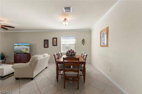 2517 Laurentina Ln, Cape Coral FL - photo 17 of 52