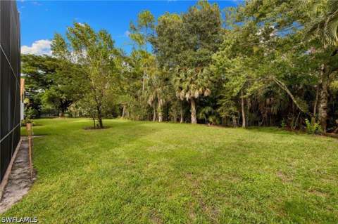 2346 Butterfly Palm Dr, Naples FL - photo 21 of 34