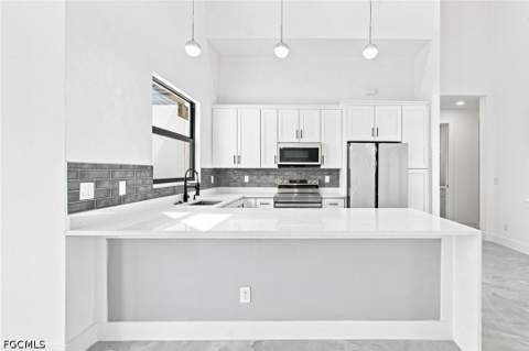 2826 NW 42nd Ave, Cape Coral FL - photo 7 of 56