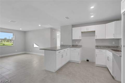 1011 NE Pine Island Ln, Cape Coral FL - photo 9 of 27