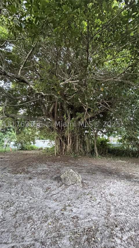205 Seaman Ave, Opa Locka FL - photo 18 of 30