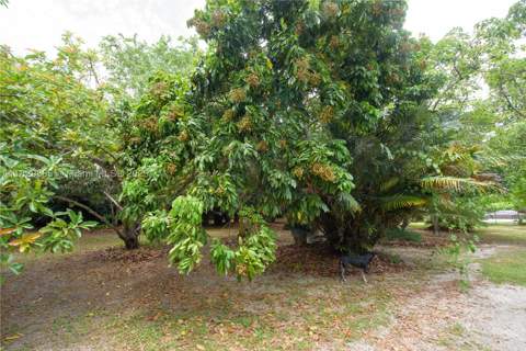 20350 SW 182nd Ave, Miami FL - photo 20 of 27
