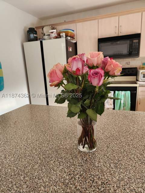11060 SW 143rd Pl, Miami FL - photo 6 of 28