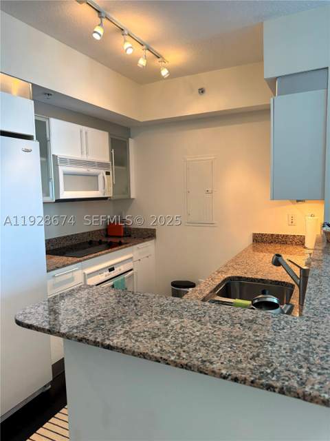 335 S Biscayne Blvd 2403, Miami FL - photo 6 of 23