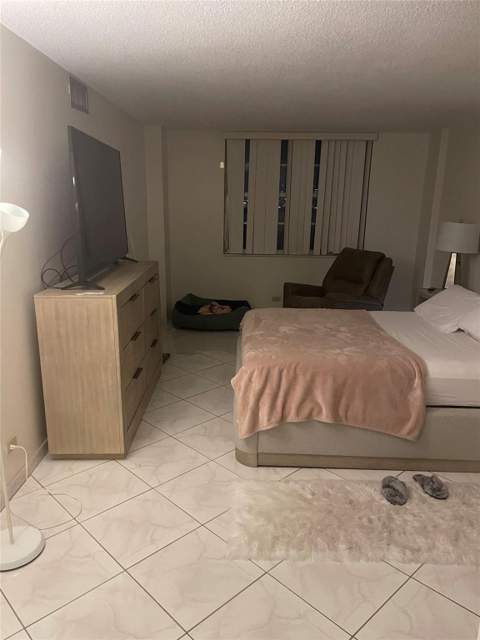 251 174th Street 220, Sunny Isles Beach FL - photo 8 of 25