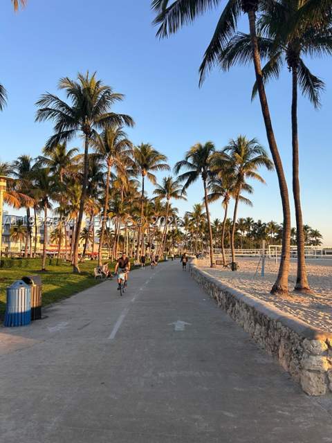 801 15th St 202, Miami Beach FL - photo 14 of 15