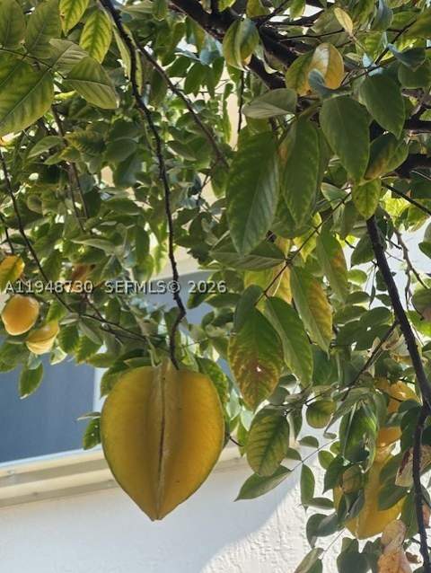 5502 SW 162nd Pl, Miami FL - photo 20 of 72