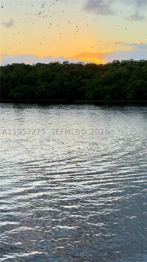 456 Poinciana Island dr 1620, Sunny Isles Beach FL - photo 23 of 58