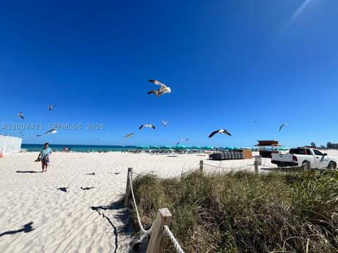2899 Collins Ave 1040, Miami Beach FL - photo 18 of 22