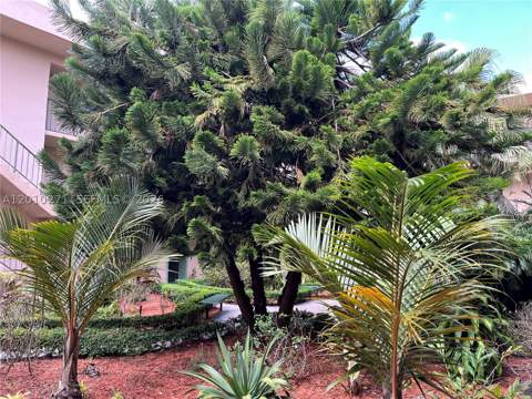 10525 SW 112th Ave 314, Miami FL - photo 6 of 54