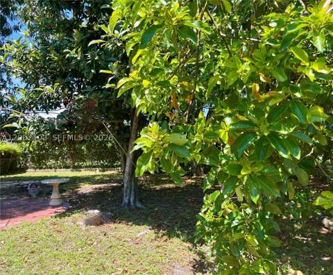10820 NE 5th Ave, Miami FL - photo 21 of 35