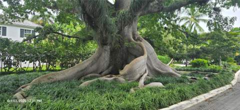 3462 N Moorings Way, Miami FL - photo 23 of 25