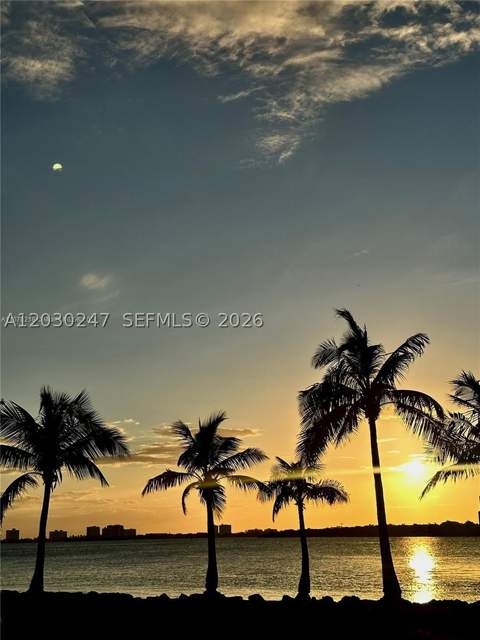 8320 Crespi Blvd 11, Miami Beach FL - photo 8 of 14