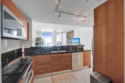 244 Biscayne Blvd 3409, Miami FL - photo 7 of 52