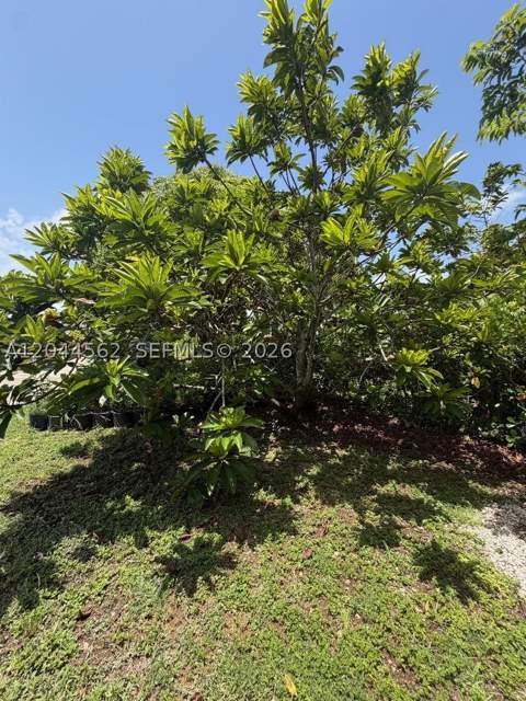20791 SW 240th St, Homestead FL - photo 10 of 50