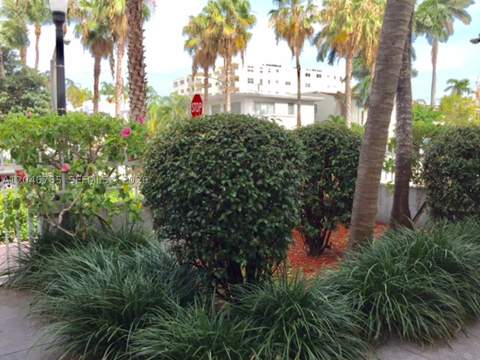 802 Euclid Ave 201, Miami Beach FL - photo 11 of 13