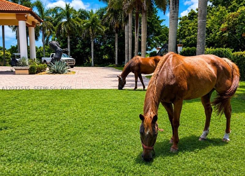 7 bedroom SingleFamilyResidence at 19701 SW 197th Ave, exclusive redlands, Miami — photo 3