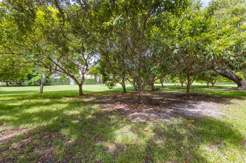 11404 Four Fillies Rd, Pinecrest FL - photo 20 of 42