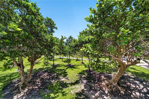 301 Ocean Dr 201, Miami Beach FL - photo 24 of 24
