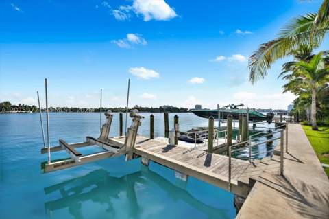 375 N Hibiscus Dr, Miami Beach FL - photo 18 of 45