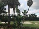 20500 W Country Club Dr 711, Aventura FL - photo 14 of 27