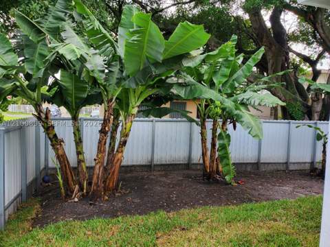 1212 NW 71st St, Miami FL - photo 6 of 7