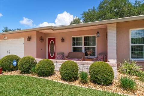 2211 Portside Passage, Palm Harbor FL - photo 9 of 55