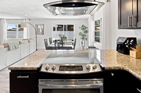 23252 Charlston Place, Land O Lakes FL - photo 8 of 43