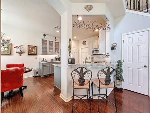 2539 Silverback Court, Palm Harbor FL - photo 6 of 6