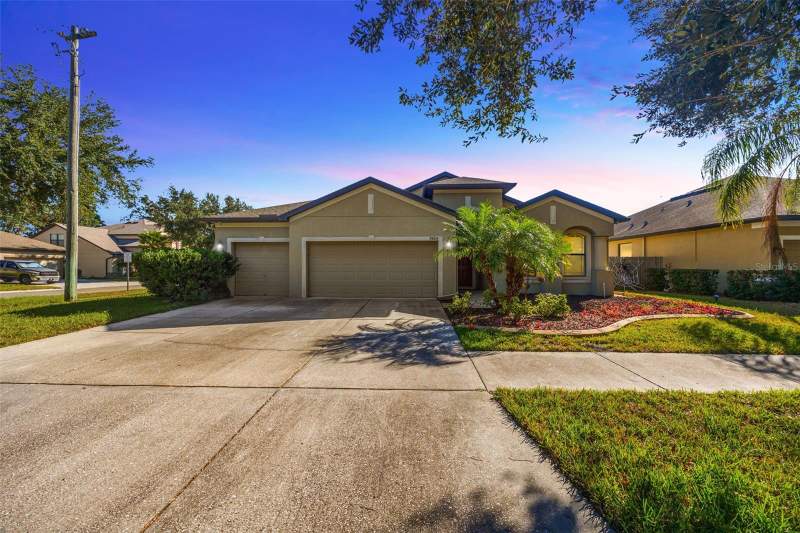 Camellia EstatesHomes for Sale in Riverview, FL