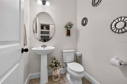 6231 Scarlet Darter Way, Tampa FL - photo 12 of 30