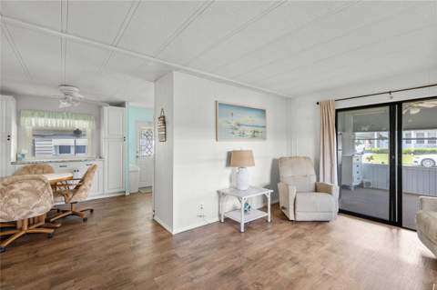 36650 Dina Drive, Zephyrhills FL - photo 10 of 63