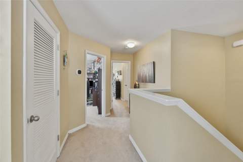 8718 Turnstone Haven Place, Tampa FL - photo 15 of 38