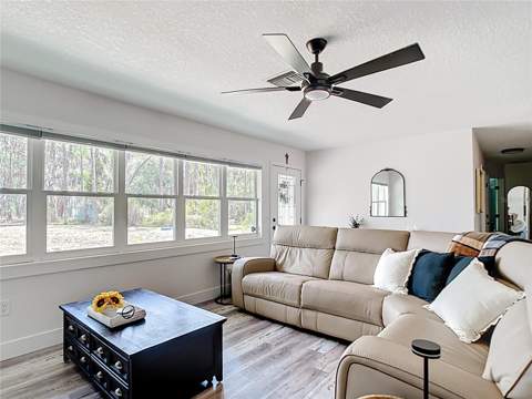 7374 Circle Drive, Lady Lake FL - photo 8 of 54