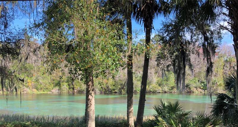 3 bedroom Single Family Residence at 9251 SW 192nd Court, Rainbow Springs Country Club Estates, Dunnellon — photo 3