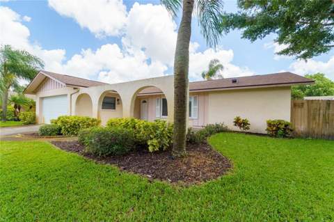 2419 Timbercrest Circle, Clearwater FL - photo 6 of 6