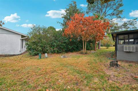 10407 Larissa Street, Orlando FL - photo 17 of 32
