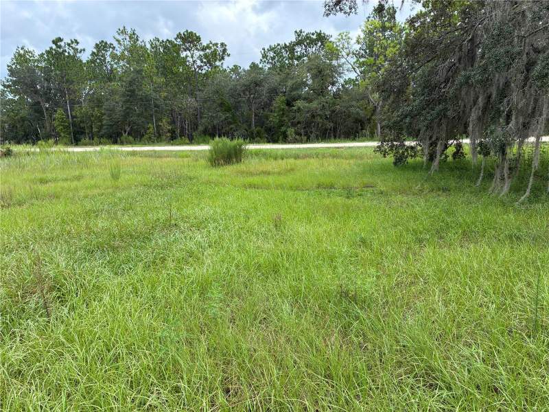 3 bedroom Single Family Residence at 8549 SW 136th Terrace, Rolling Hills 01, Dunnellon — photo 2