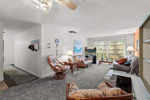 2700 Bayshore Boulevard #4106, Dunedin FL - photo 8 of 52