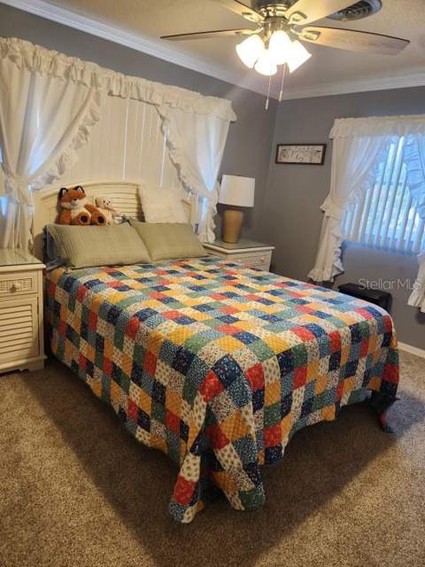 26630 Cayman Drive, Tavares FL - photo 8 of 12