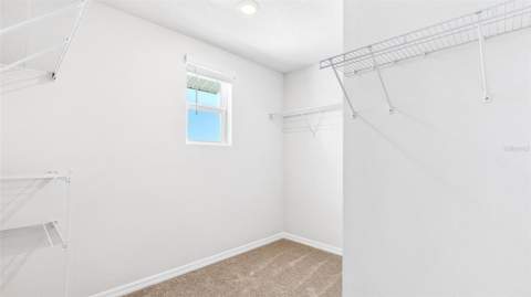8852 Clear View Street, Parrish FL - photo 20 of 23