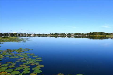 611 Old Eustis Road, Mount Dora FL - photo 6 of 6